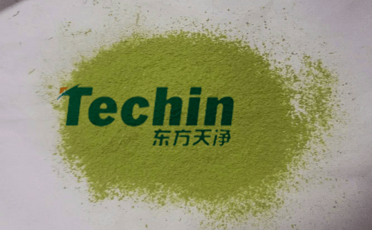 小优视频官网后的植物叶片