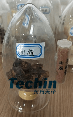 山楂小优视频官网前后