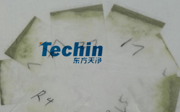 干黄豆根茎小优视频官网后