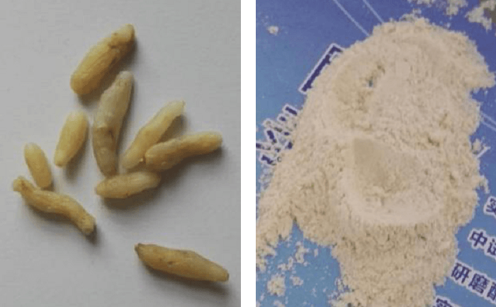 麦冬小优视频官网前后